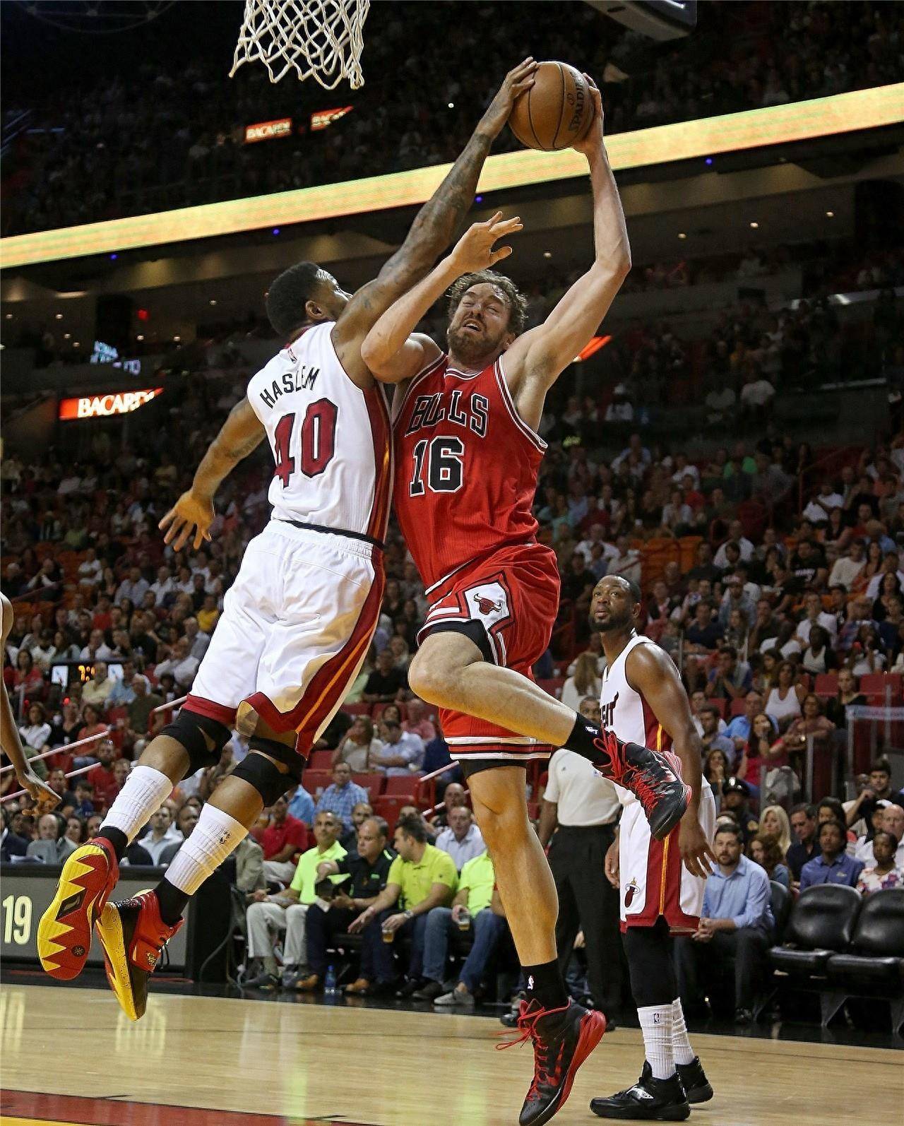 供了持续的 供了持续的