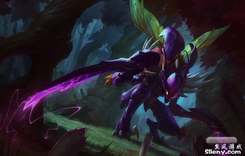 奎因牵引外 奎因牵引外