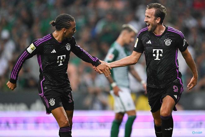 择偏正手直